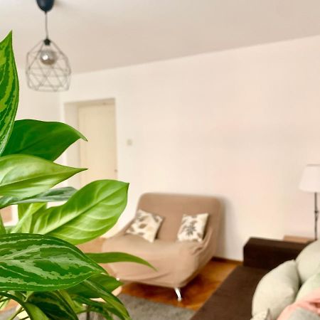 Star Apartment 2 Belgrade Extérieur photo